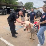 First Responder Visits